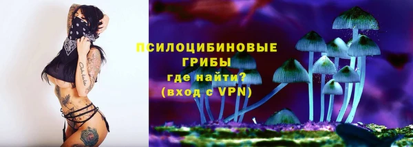 СК Кинешма