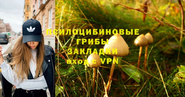 ГАЛЛЮЦИНОГЕННЫЕ ГРИБЫ Киренск
