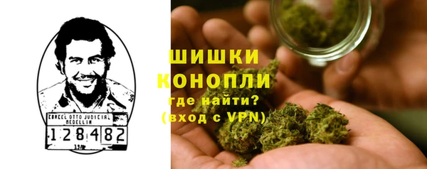 ГАЛЛЮЦИНОГЕННЫЕ ГРИБЫ Киренск