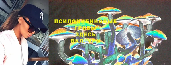 СК Кинешма